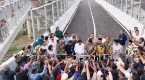 Flyover yang membentang di atas perlintasan sebidang kereta api dekat Stasiun Tenjo ini merupakan hasil kolaborasi dan inisiatif dari pengembang properti Agung Podomoro Group, selaku pengembang Kota Podomoro Tenjo.