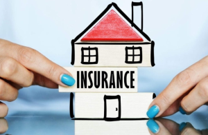 Meskipun berbagai lini bisnis lain terus dikembangkan, kontribusi premi dari asuransi properti, yang mencakup perlindungan terhadap kebakaran, bencana alam, dan risiko lainnya, tetap mendominasi dan menjadi penyumbang terbesar pendapatan perusahaan.