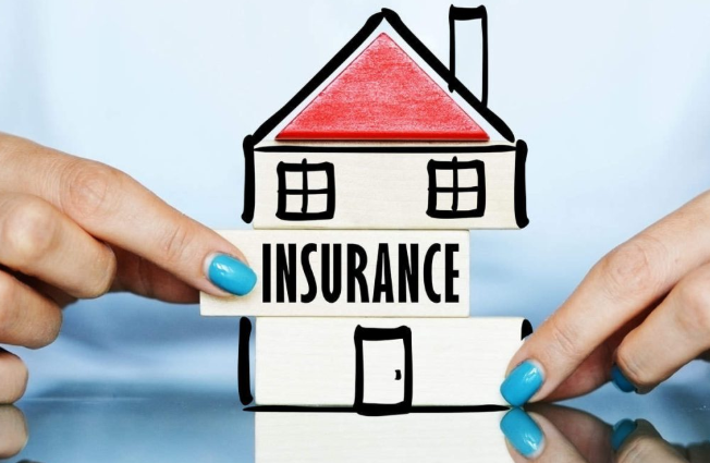 Meskipun berbagai lini bisnis lain terus dikembangkan, kontribusi premi dari asuransi properti, yang mencakup perlindungan terhadap kebakaran, bencana alam, dan risiko lainnya, tetap mendominasi dan menjadi penyumbang terbesar pendapatan perusahaan.