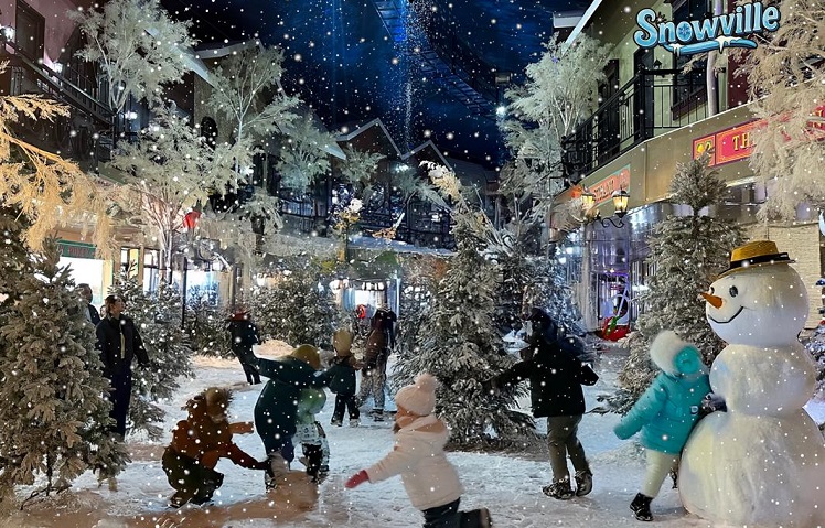 Snowville Sentul menempati lahan seluas 3,87ha (termasuk parkir) dengan berbagai fasilitas dan wahana antara lain luge track, rainbow slide, playhouse, various slide, outdoorplay, waterplay, lakeboat, track EV, bear bike, the strand/snowhouse dan segera dibangun bird forest dan minizoo.